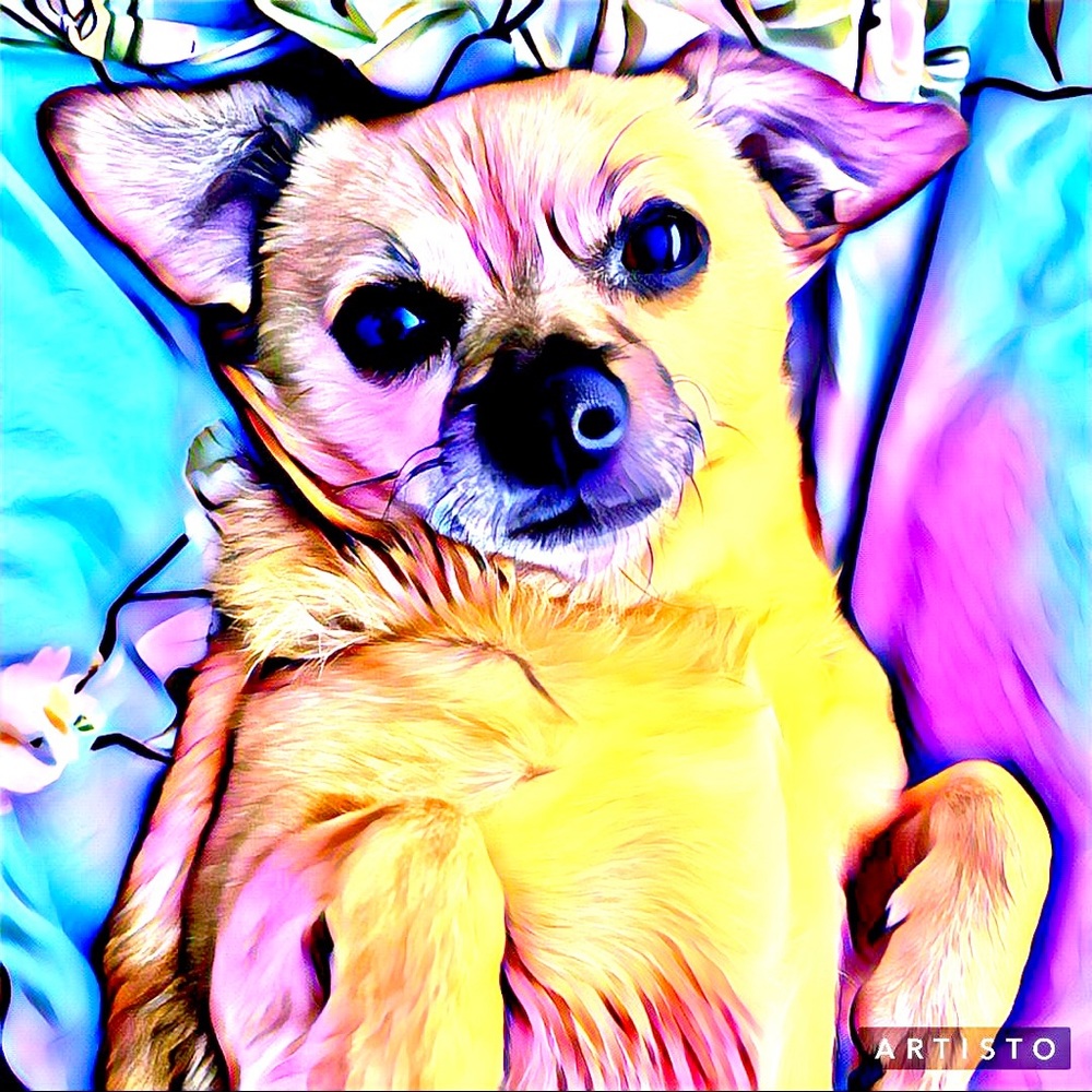 Meet your Posher, Jaclyn